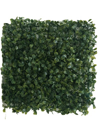 ˭�������Դ��ᾧ ˭�ҵչ��