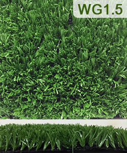 ˭�������پ�� 1.5 ��. ˭�������Ҥһ����Ѵ